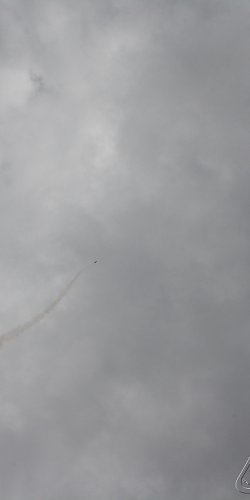 2013 Svojek Mirek Topinka